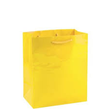 Paper Gift Bag With Handle Value Pack